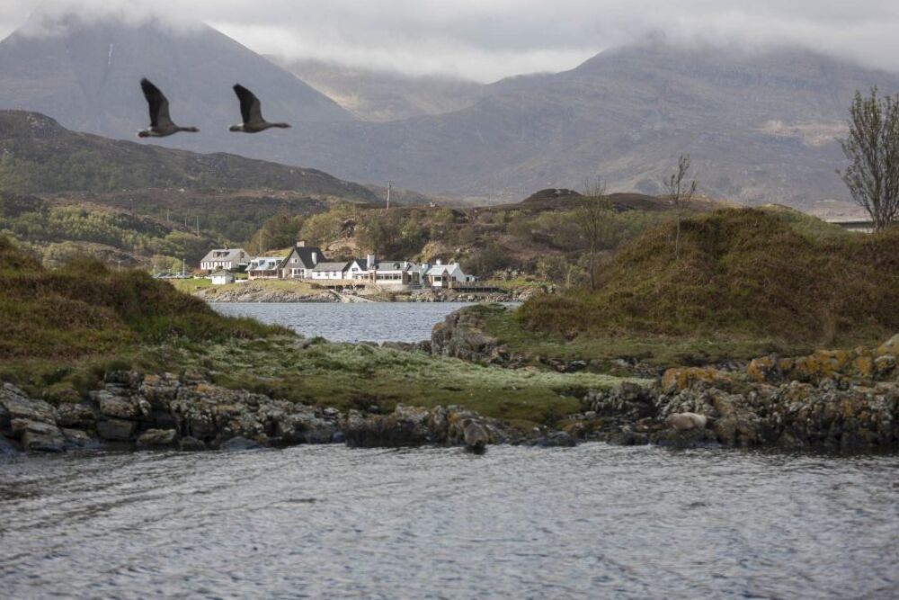 Kylesku Hotel Helen Lucas Architects 4 Y7 Z5607 Photograph by Angus Bremner