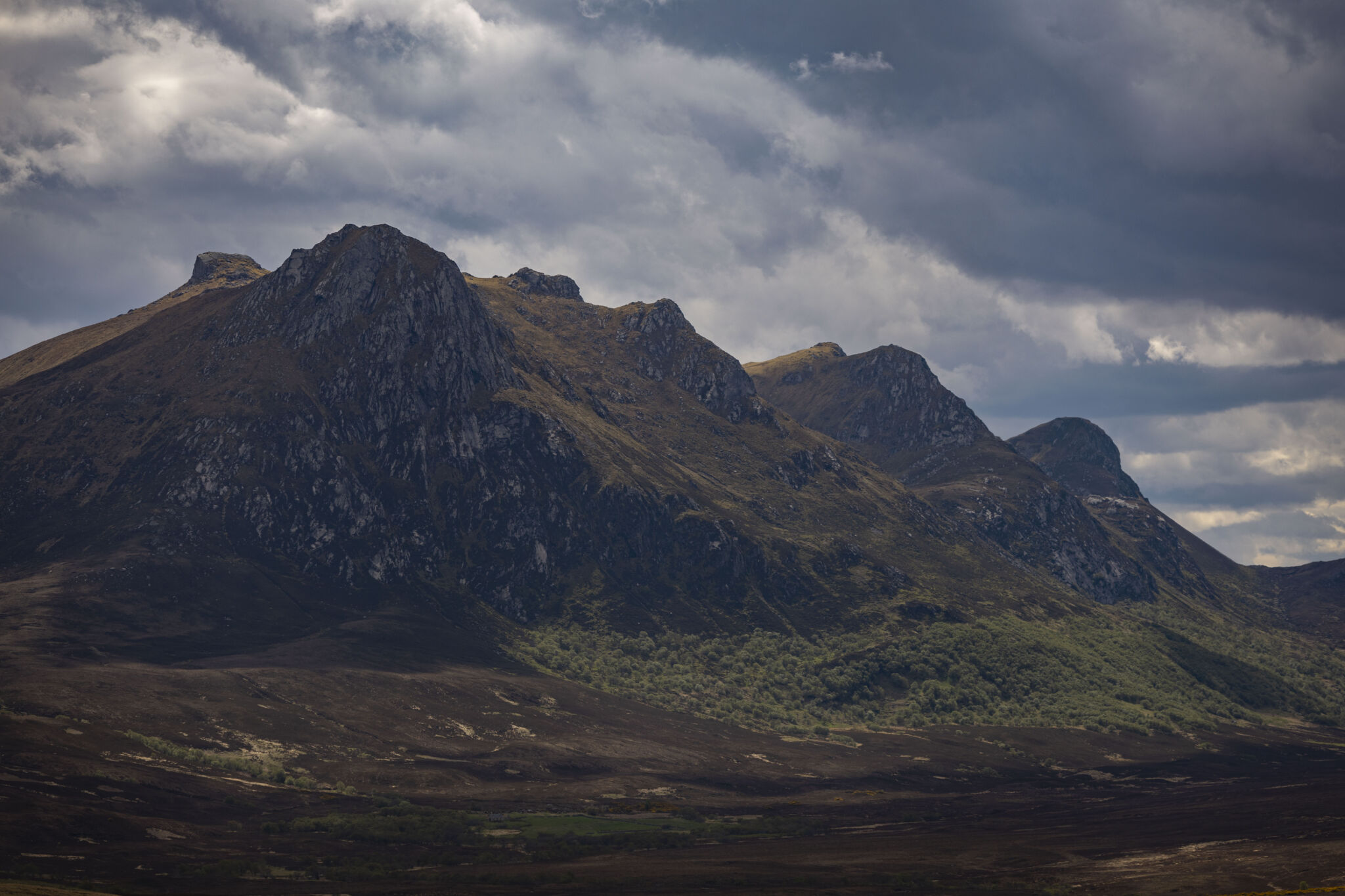 TON Brass Tap Ben Loyal2